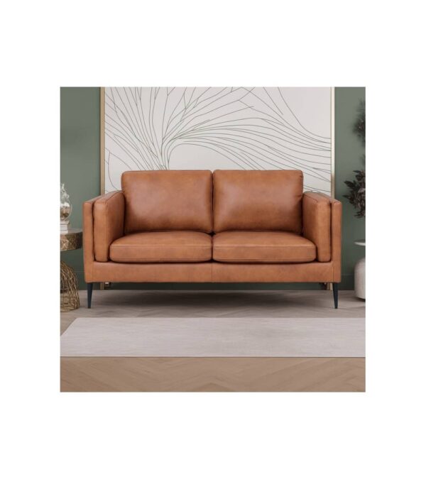 valencia-2-seater-sofa-brown