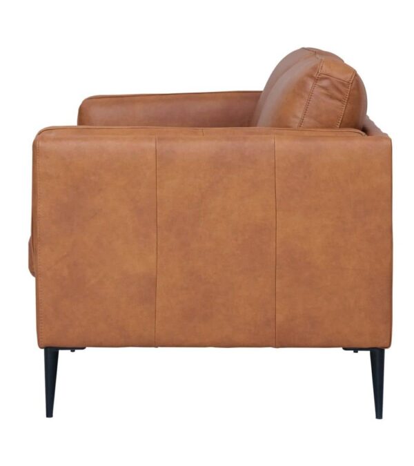 valencia-2-seater-sofa-brown